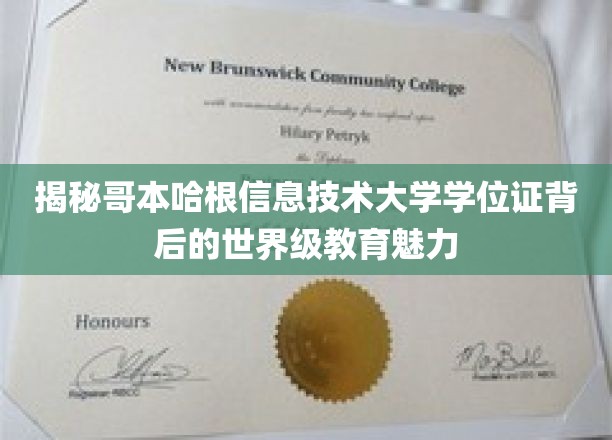 揭秘哥本哈根信息技术大学学位证背后的世界级教育魅力