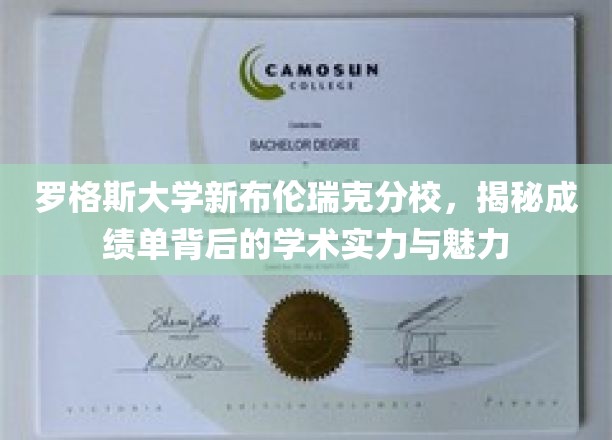 罗格斯新布伦瑞克，一纸成绩单背后的学术璀璨与独特魅力