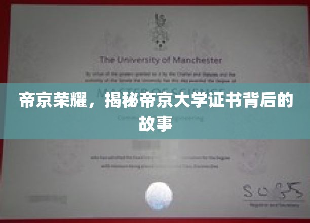 帝京学府之谜，证书背后的传奇篇章