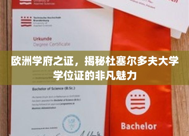 欧洲学府之证，揭秘杜塞尔多夫大学学位证的非凡魅力