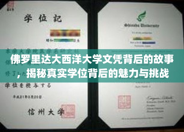 探寻佛罗里达大西洋大学文凭背后的传奇，学位背后的精彩与考验