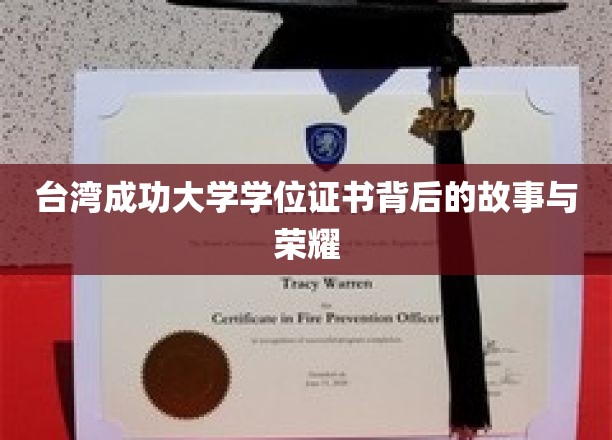 台湾成功大学学位证书：背后的故事与荣耀之光