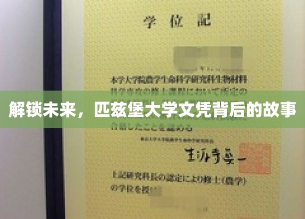 解锁未来,匹兹堡大学文凭背后的故事