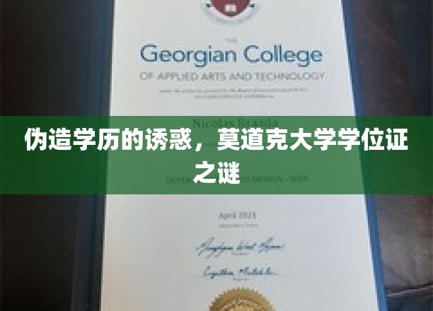 学历伪造暗流涌动，莫道克大学学位证背后的秘密漩涡