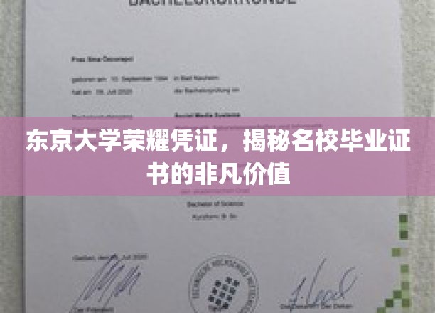 东京大学证书魅力，探索名校学历背后的无尽潜力
