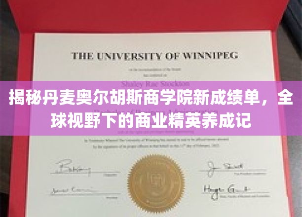 穿越全球视野，揭秘奥尔胡斯商学院精英养成之路