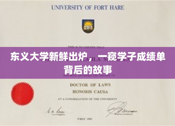 东义大学成绩单背后，揭秘学子的奋斗与成长轨迹