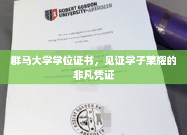 群马大学学位证书，见证学子荣耀的非凡凭证