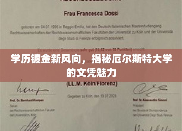 厄尔斯特大学文凭新热度，学历镀金新趋势探秘