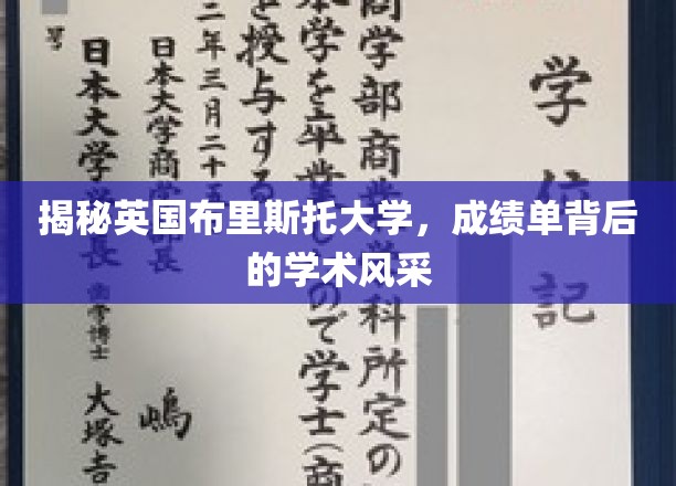 探寻布里斯托大学成绩单背后的学术魅力
