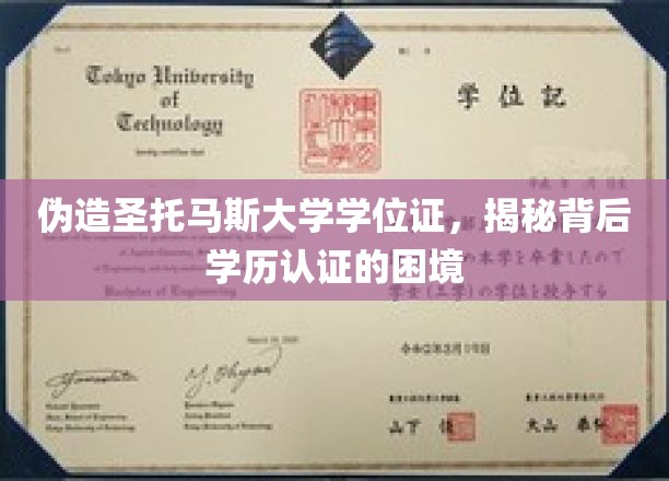 伪造学历风潮下的学历认证难题，圣托马斯大学学位证伪造事件引发的深思