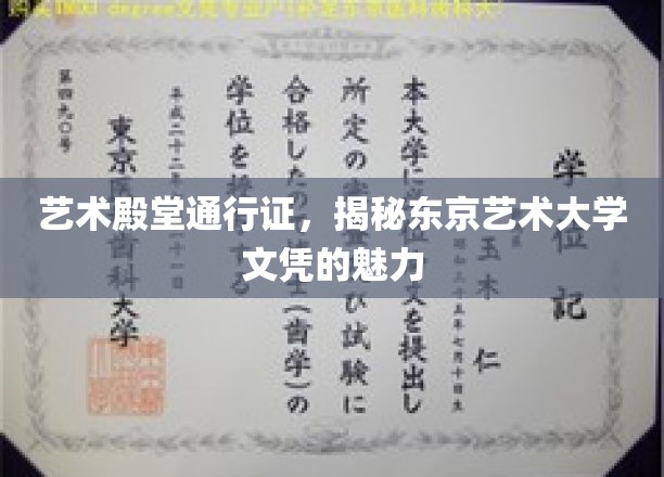 穿越艺术之门，揭秘东京艺术大学文凭的非凡价值