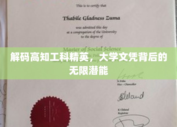 解码高知工科精英，大学文凭背后的无限潜能