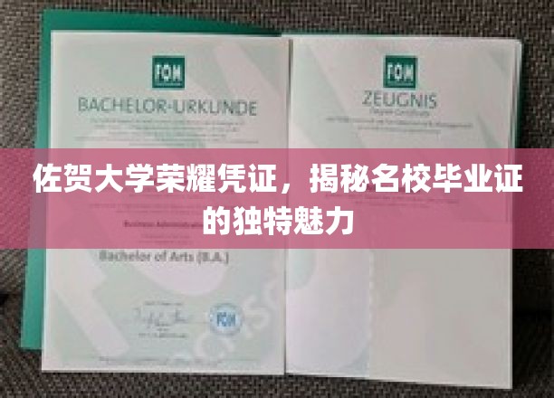 佐贺大学毕业证背后，探索名校证书的独特风采