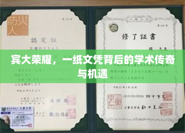 宾大荣光，揭秘文凭背后传奇故事与无限机遇