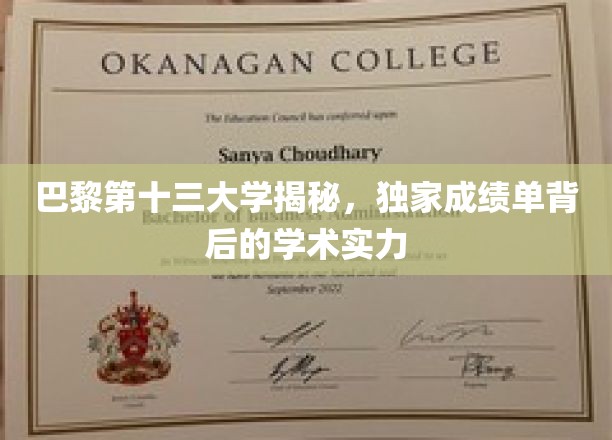 巴黎第十三大学揭秘，独家成绩单背后的学术实力