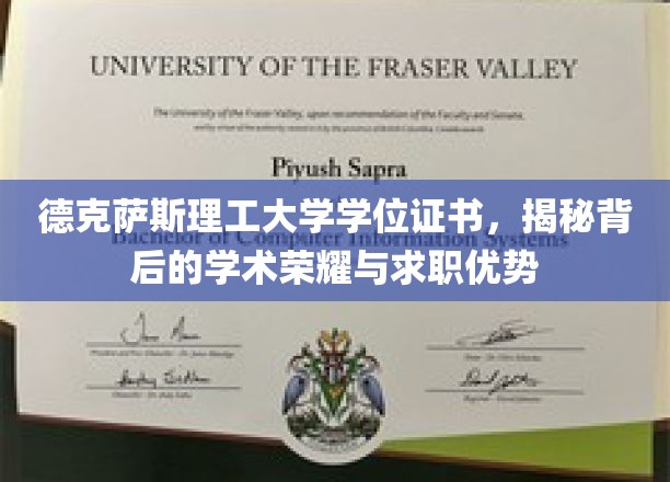 德克萨斯理工大学学位证书，解码学术光环与职场竞争优势