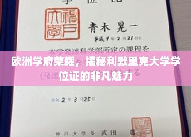 欧洲学府荣耀，一探利默里克大学学位证的独特魅力