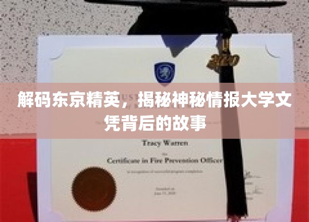 东京精英的秘密，揭秘文凭背后的非凡传奇