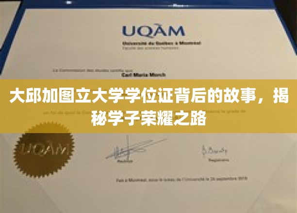 大邱加图立大学荣耀见证，学子学位证背后的奋斗传奇