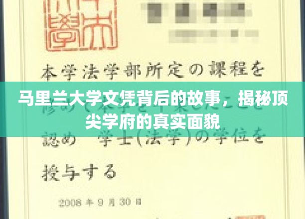 揭开马里兰大学文凭背后的传奇，探索顶级学府的奥秘与真实风采