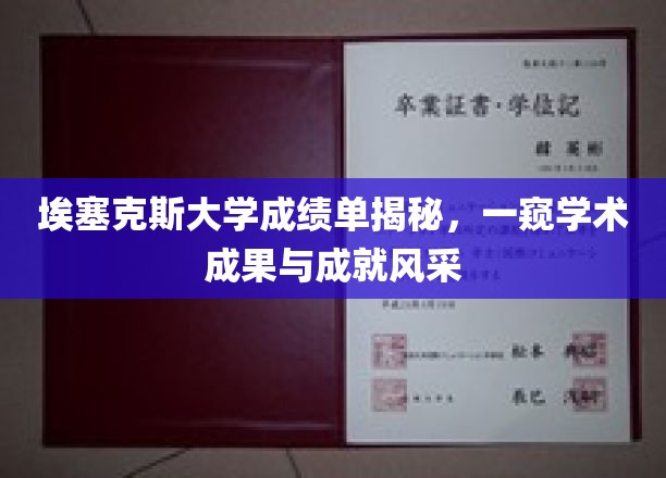 埃塞克斯大学成绩单揭秘，一窥学术成果与成就风采