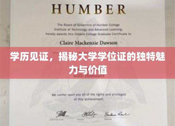 学位证书之光，探索大学学历背后的非凡价值与吸引力