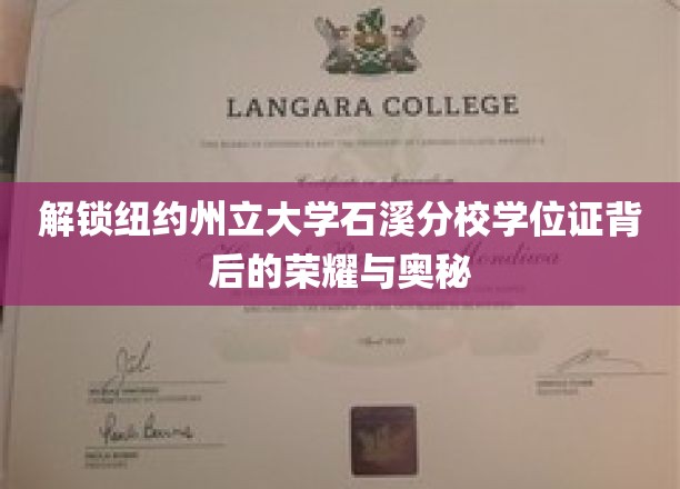 解锁纽约州立大学石溪分校学位证背后的荣耀与奥秘