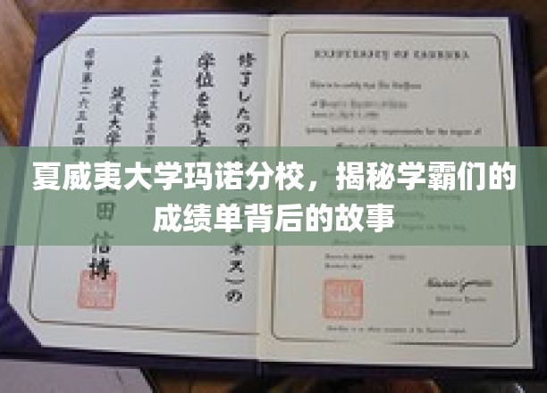 夏威夷大学玛诺分校，揭秘学霸们的成绩单背后的故事