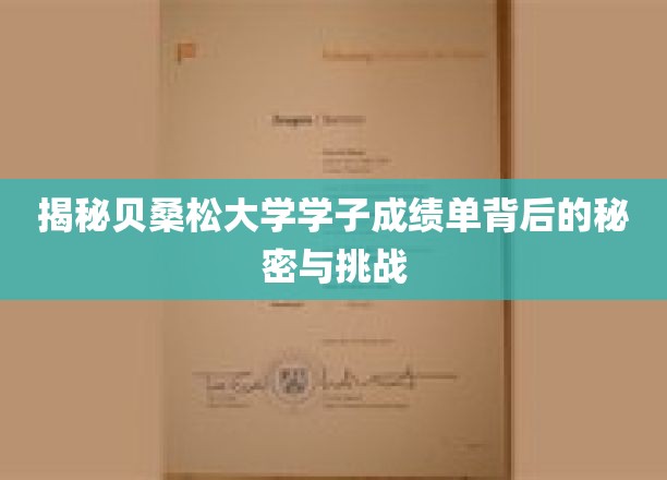 探寻贝桑松大学学子成绩单背后的奥秘与挑战