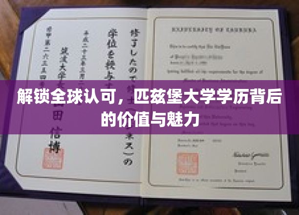 国际通行证，匹兹堡大学学位的全球吸引力与独特优势