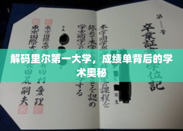 揭示里尔第一大学成绩单背后的神秘学苑