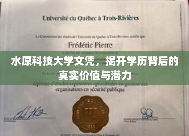 解码水原科技大学文凭，学历背后的无限可能