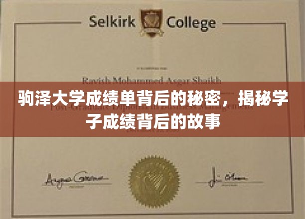 驹泽大学成绩单背后的秘密，揭秘学子成绩背后的故事