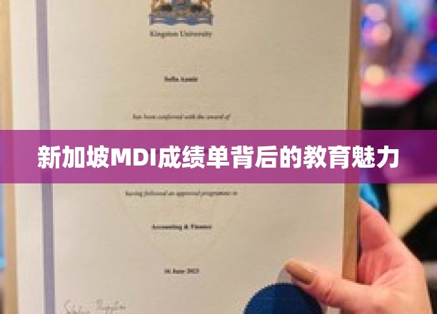 解码新加坡MDI卓越成绩背后的教育智慧