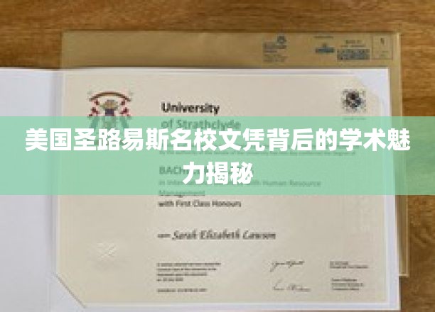 美国圣路易斯名校文凭背后的学术魅力揭秘