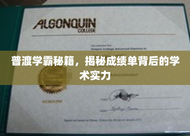 解锁学霸之道，揭秘普渡高分背后的学术奥秘