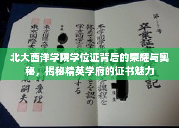 北大西洋学院学位证，探寻精英学府的荣耀密码与独特魅力