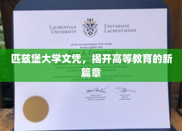 匹兹堡大学文凭引领，探索未来教育界的革新之路