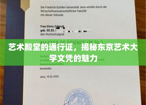 艺术殿堂的通行证，揭秘东京艺术大学文凭的魅力