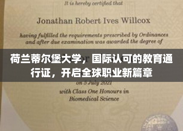 跨越国界的教育殿堂，蒂尔堡大学，成就国际职场新起航