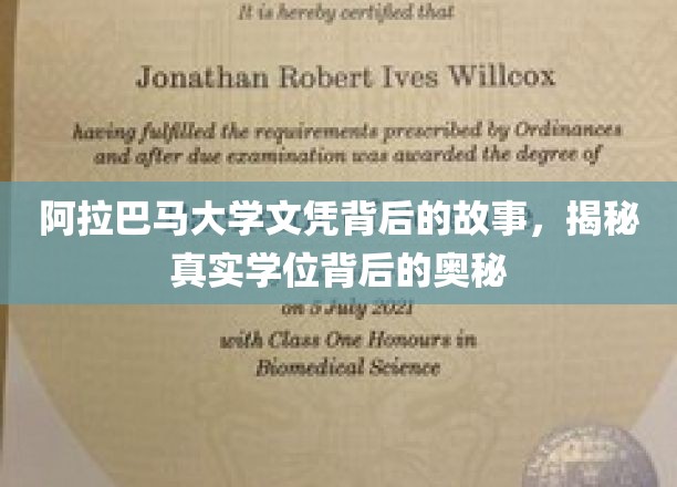 揭开阿拉巴马大学文凭背后的秘密，探寻学位背后的真实世界