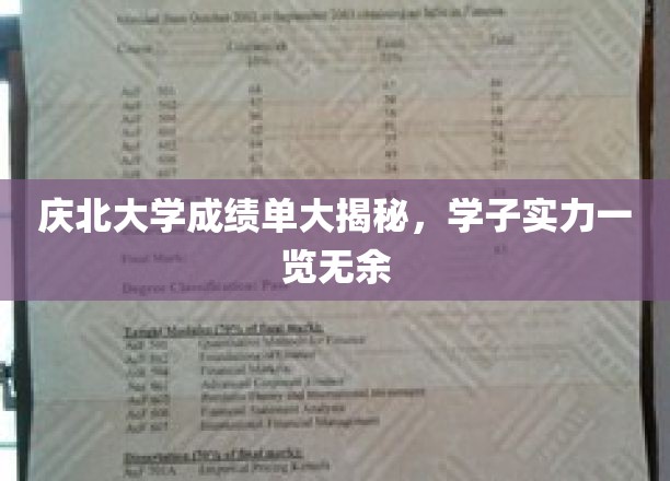 庆北学子风采展，成绩单背后的实力与荣耀