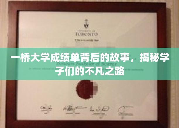 一桥学子非凡征途，揭秘成绩单背后的励志篇章