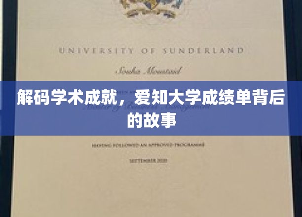 探寻爱知大学，揭开学子卓越背后的秘密