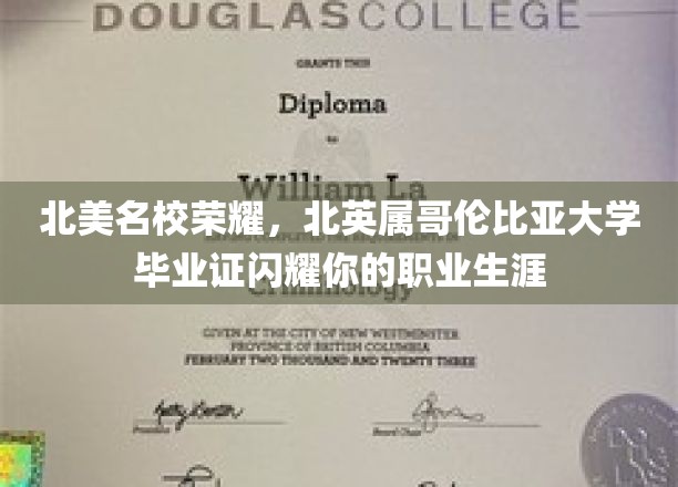 北英属哥伦比亚大学荣耀加冕，毕业证点亮职业生涯璀璨未来
