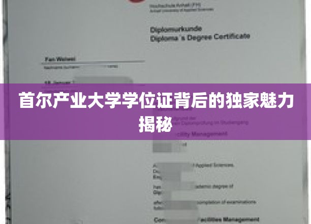 首尔产业大学学位证背后的独特魅力揭秘