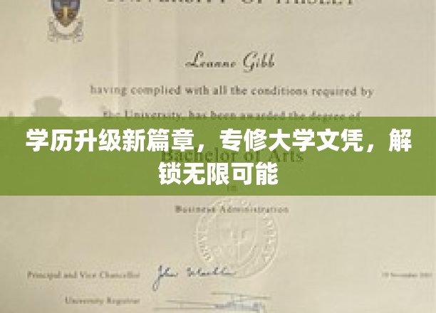 专修之路，学历新境，开启职场无限可能之旅
