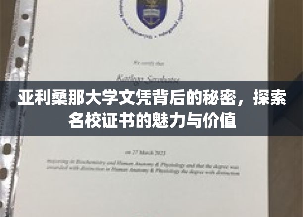 亚利桑那大学文凭背后的秘密，探寻名校证书的魅力与价值