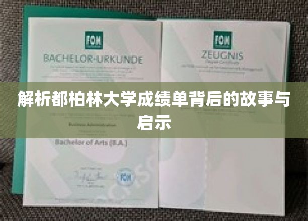 解析都柏林大学成绩单背后的故事与启示